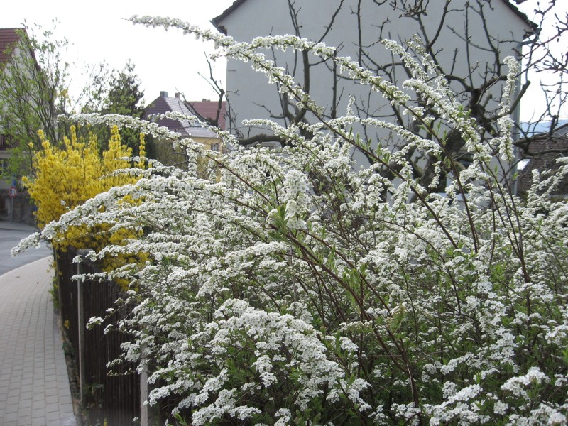 da ist wohl was schiefgegangen :-)